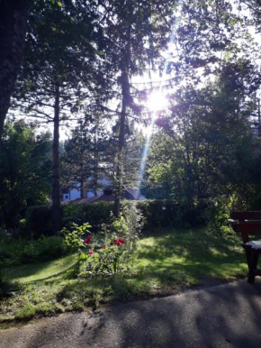 Apartman Jorgovan